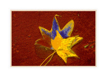 Load image into Gallery viewer, Autumn Leaves Photography Wall Art Print of abstract leaves on sand with a splash of blue and yellow.  Canvas Print with Wood Frame.
