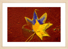 Load image into Gallery viewer, Autumn Leaves Photography Wall Art Print of abstract leaves on sand with a splash of blue and yellow. Fine Art Print with Wood Frame.
