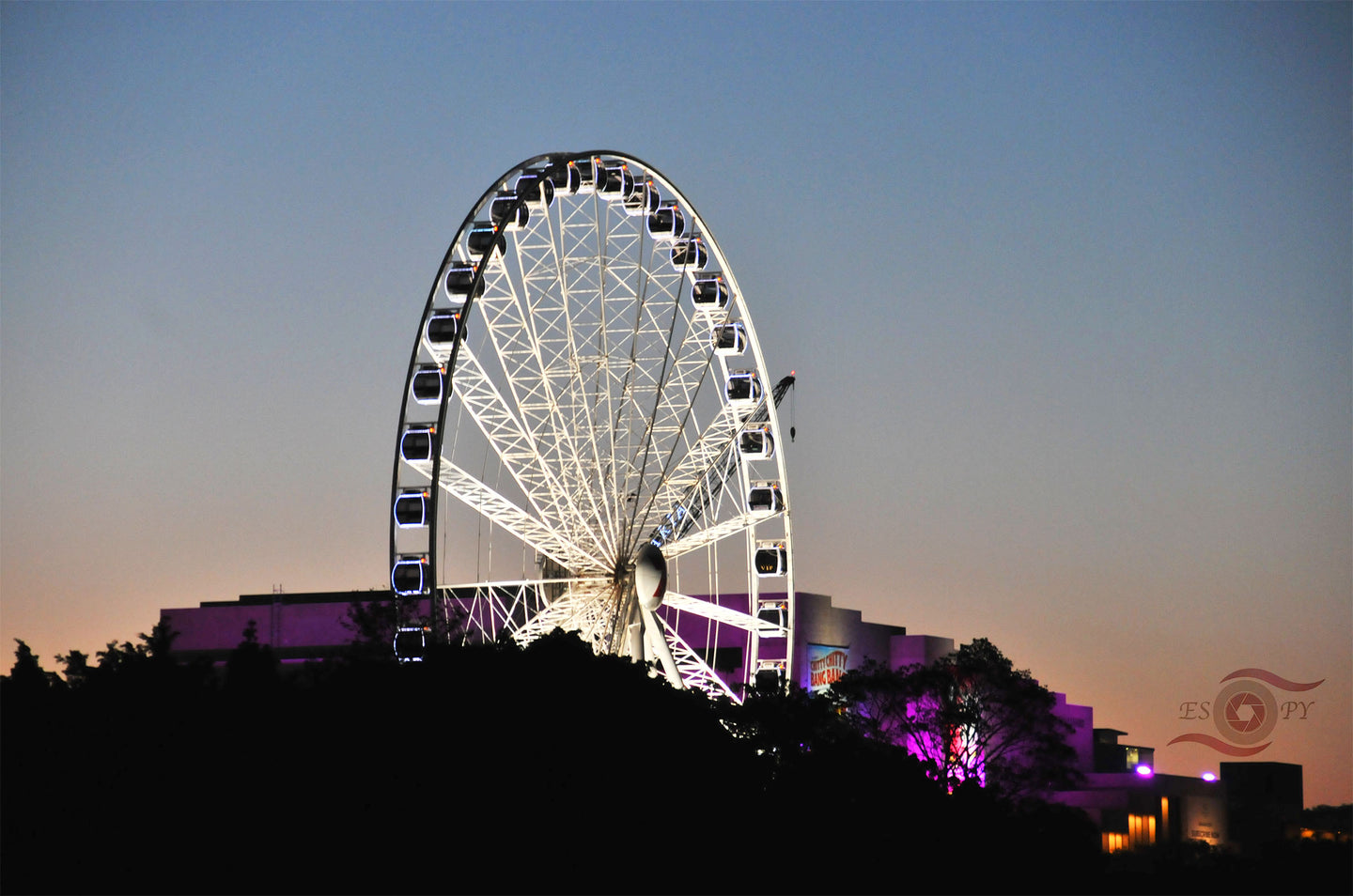 Brisbane Eye