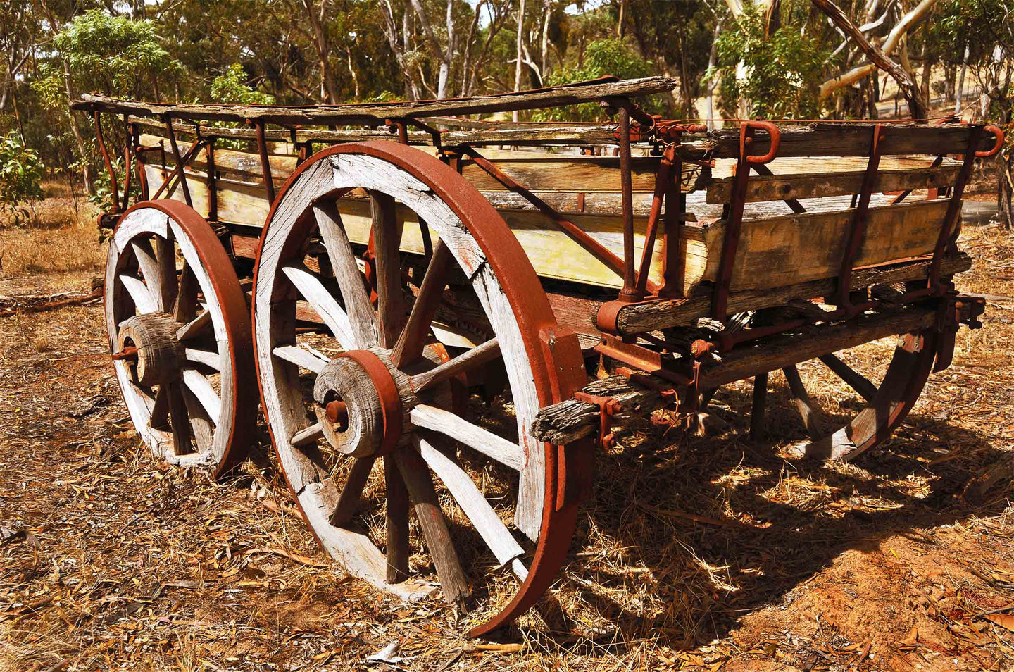 Cart Wheel