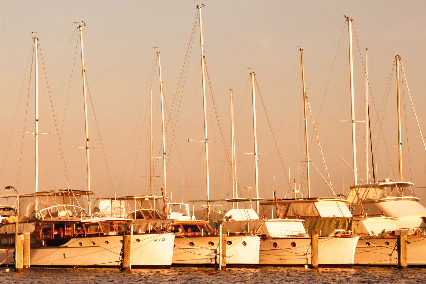 Classic Yacht Wall Art, classic sail boats in moorings, Freshwater Bay, Perth, Western Australia., Framed Prints, Canvas, Acrylic