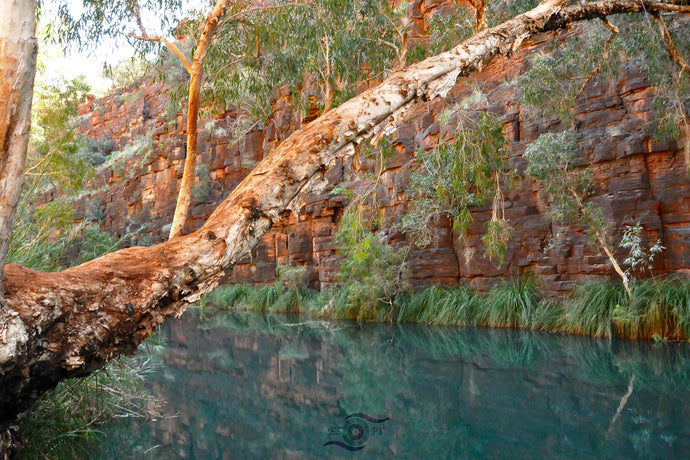 Pilbara Photography Artwork taken at Dales Gorge in the Karijini National Park, Pilbara, Western Australia. Unframed Print. 