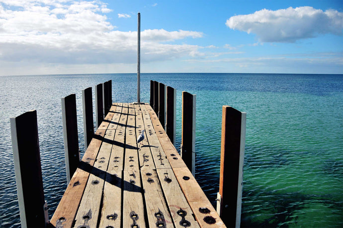 Jetty Photography Wall Art Print of a seagull taking in the view from a wooden jetty over the green, blue calm ocean bay. Unframed Print. 