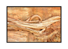 Load image into Gallery viewer, Pilbara Photography Artwork of Entwined Tree Roots in the Karijini National Park. Canvas Print with Black Frame. 
