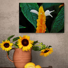 Load image into Gallery viewer, Flower Photography Wall Art Print of a Golden Shrimp plant. Acrylic Print.
