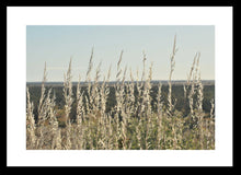 Load image into Gallery viewer, Grass Wall Art, grasses gently swaying in the breeze, Giralia Station, Exmouth Gulf, Western Australia, Framed Prints, Canvas, Acrylic
