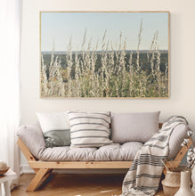 Load image into Gallery viewer, Grass Wall Art, grasses gently swaying in the breeze, Giralia Station, Exmouth Gulf, Western Australia, Framed Prints, Canvas, Acrylic
