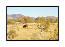 Load image into Gallery viewer, Pilbara Photography Artwork of the landscape in the Karijini National Park, Pilbara, Western Australia. Canvas Print with Black Frame. 
