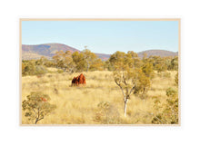 Load image into Gallery viewer, Pilbara Photography Artwork of the landscape in the Karijini National Park, Pilbara, Western Australia. Canvas Print with Wood Frame. 
