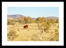 Load image into Gallery viewer, Pilbara Photography Artwork of the landscape in the Karijini National Park, Pilbara, Western Australia. Fine Art Print with Black Frame. 
