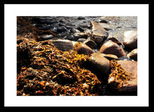 Load image into Gallery viewer, Seaweed Wall Art, coral coloured kelp, beach, rocky shore line, Framed Prints, Canvas, Acrylic
