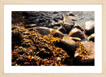 Load image into Gallery viewer, Seaweed Wall Art, coral coloured kelp, beach, rocky shore line, Framed Prints, Canvas, Acrylic
