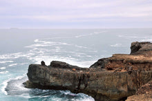 Load image into Gallery viewer, Ocean Photography Wall Art Print of the ocean gently kissing the rugged cliff ledge against a cloudy pink tinged sky. Unframed Print. 
