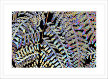 Load image into Gallery viewer, Fern Photography Wall Art Print of an abstract metallic tree fern frond. Fine Art Print with White Frame.
