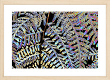 Load image into Gallery viewer, Fern Photography Wall Art Print of an abstract metallic tree fern frond. Fine Art Print with Wood Frame.
