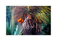 Load image into Gallery viewer, Forest Photography Wall Art Print of orange Palm Fruit in Thailand. Canvas Print with White Frame.
