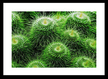 Load image into Gallery viewer, Prickle my Green Fancy
