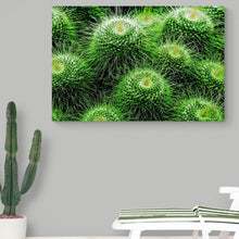 Load image into Gallery viewer, Prickle my Green Fancy
