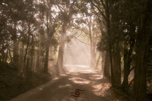 Load image into Gallery viewer, Sun Ray Wall Art, late afternoon sun rays, dusty road, forest, Denmark, Western Australia, Framed Prints, Canvas, Acrylic 
