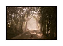 Load image into Gallery viewer, Sun Ray Wall Art, late afternoon sun rays, dusty road, forest, Denmark, Western Australia, Framed Prints, Canvas, Acrylic
