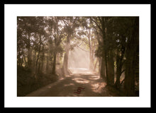 Load image into Gallery viewer, Sun Ray Wall Art, late afternoon sun rays, dusty road, forest, Denmark, Western Australia, Framed Prints, Canvas, Acrylic
