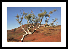 Load image into Gallery viewer, Pilbara Photography Artwork of a snappy gum tree in the Karijini National Park. Fine Art Print with Black Frame. 
