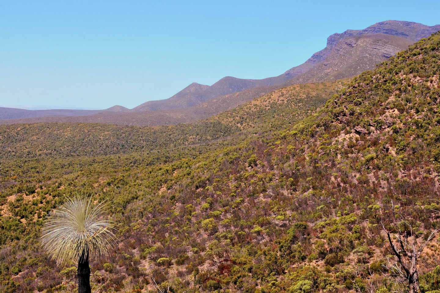 Mountain Wall Art, Stirling Ranges, Western Australia, Bluff Knoll, Framed Prints, Canvas, Acrylic