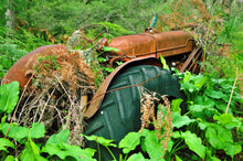 Load image into Gallery viewer, Tractor Heaven
