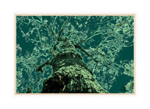 Load image into Gallery viewer, Forest Photography Wall Art Print of an abstract whispering tree. Canvas Print with Wood Frame.
