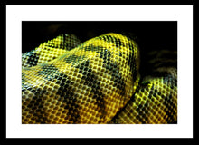 Load image into Gallery viewer, Wildlife Photography Artwork of the patterns on the Woma Sand Python. Fine Art Print with Black Frame.
